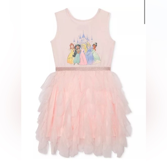 Disney Other - Disney Pink Princess Tulle tutu dress